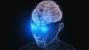 Human Brain