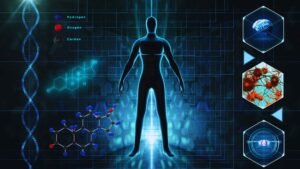 human body