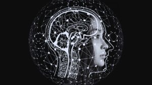 Human Body Works