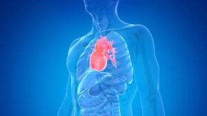 Taking Care of Your Heart