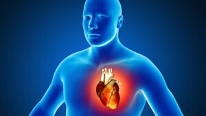 Heart and the Circulatory System