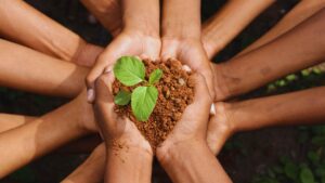 Environmental Education