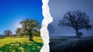 Day and Night